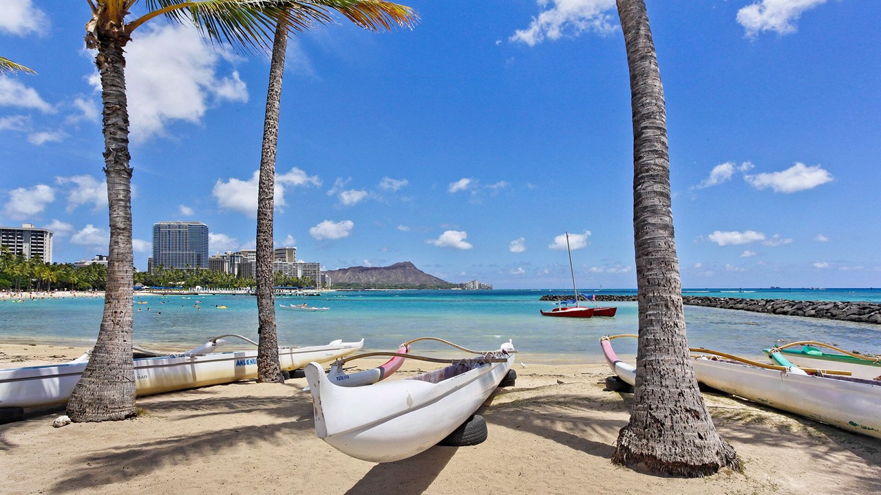 Photo of Others in Waikiki
