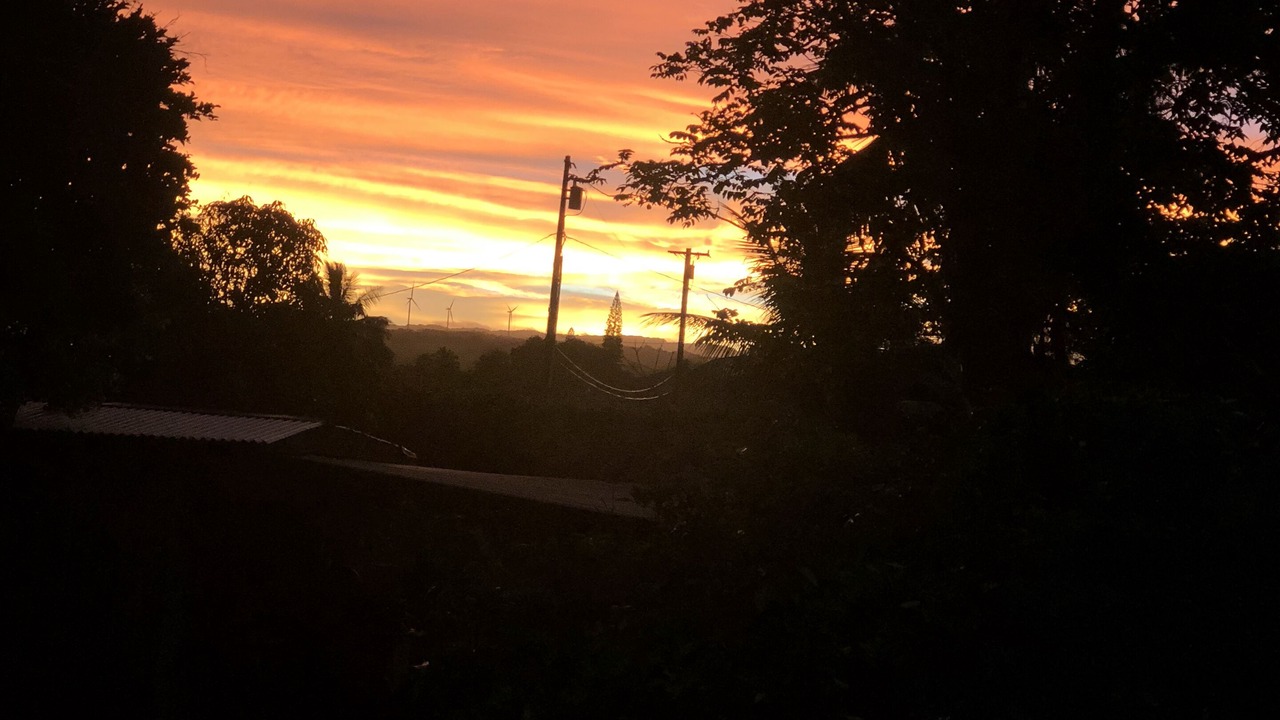 Photo of Outdoor in Haleiwa