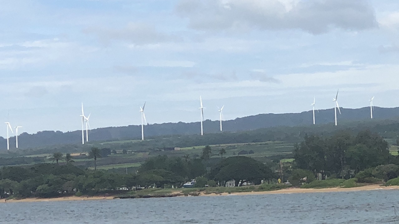 Photo of Others in Haleiwa