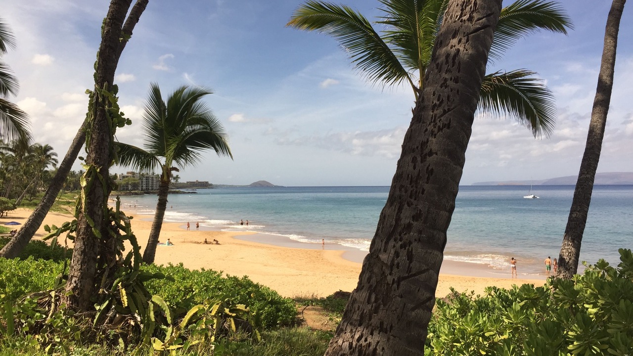 Photo of Others in Kihei