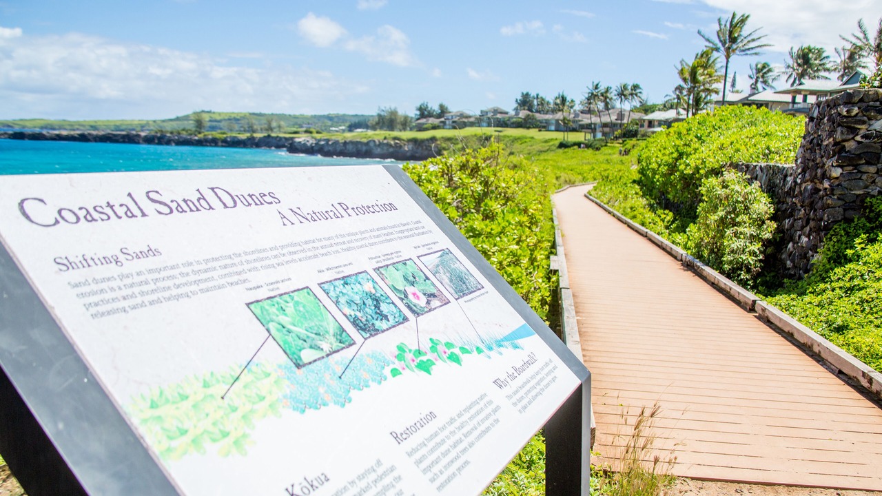 Photo of Others in Kapalua