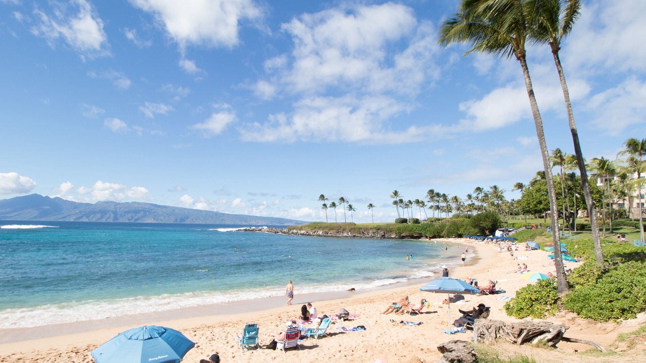 Photo of Others in Kapalua