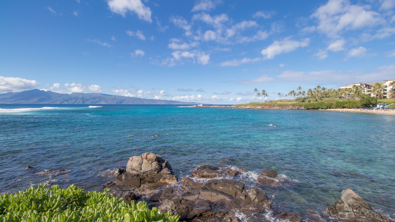 Photo of Others in Kapalua