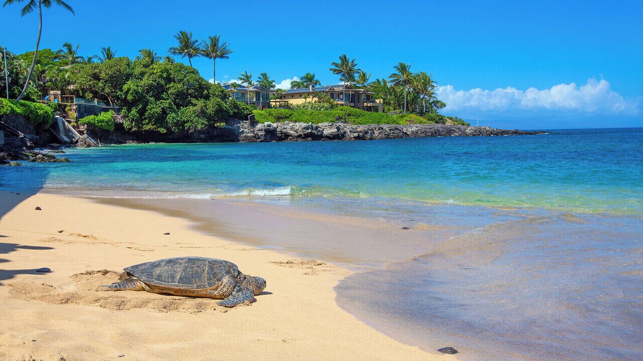 Photo of Others in Kahana