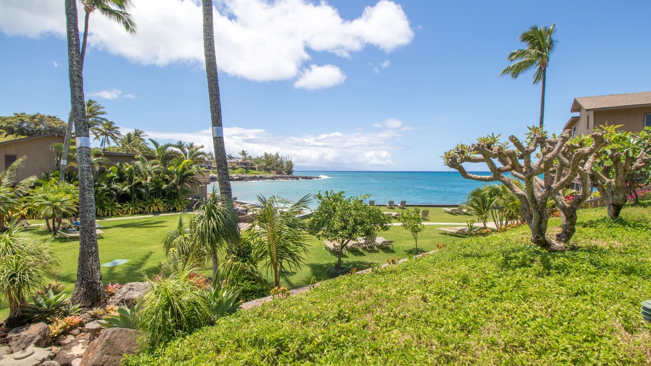 Photo of Others in Kahana
