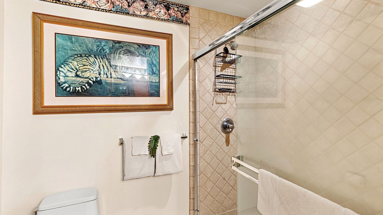 Photo of Bathroom in Kahana