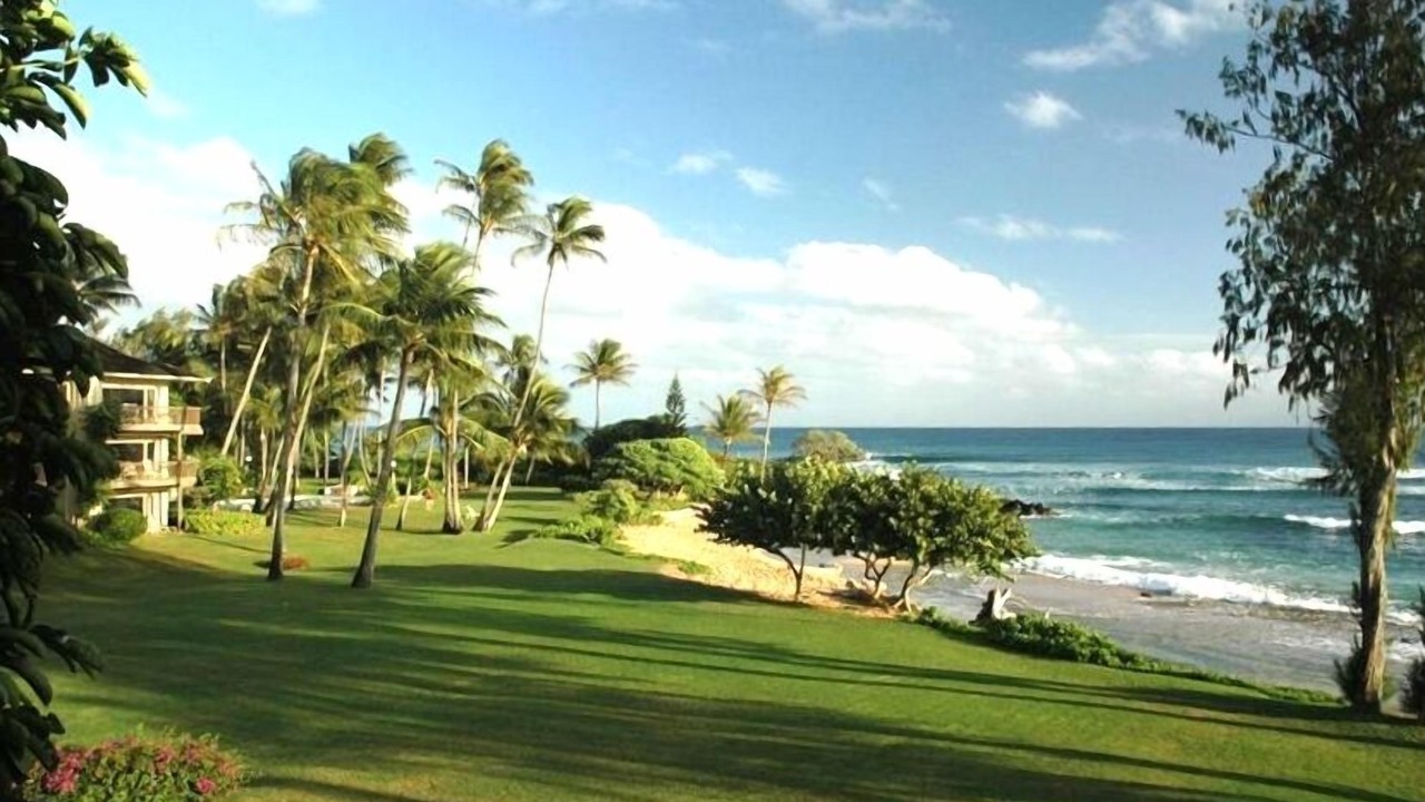 Photo of Others in Wailua