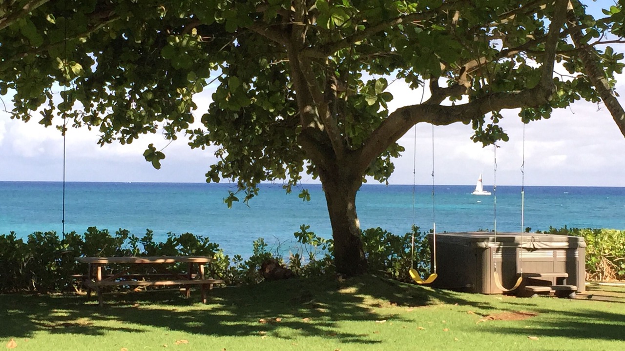 Photo of Outdoor in Haleiwa