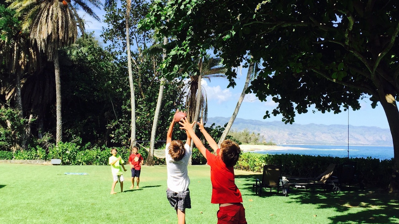 Photo of Others in Haleiwa