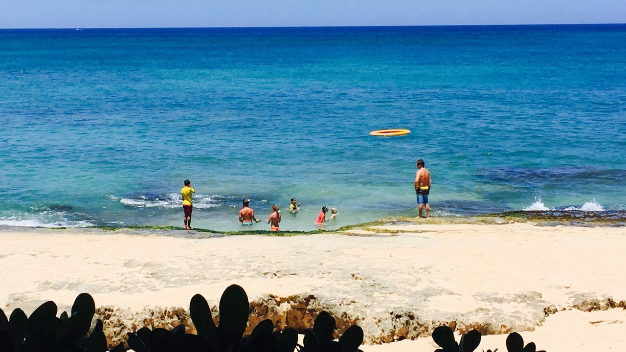 Photo of Others in Haleiwa