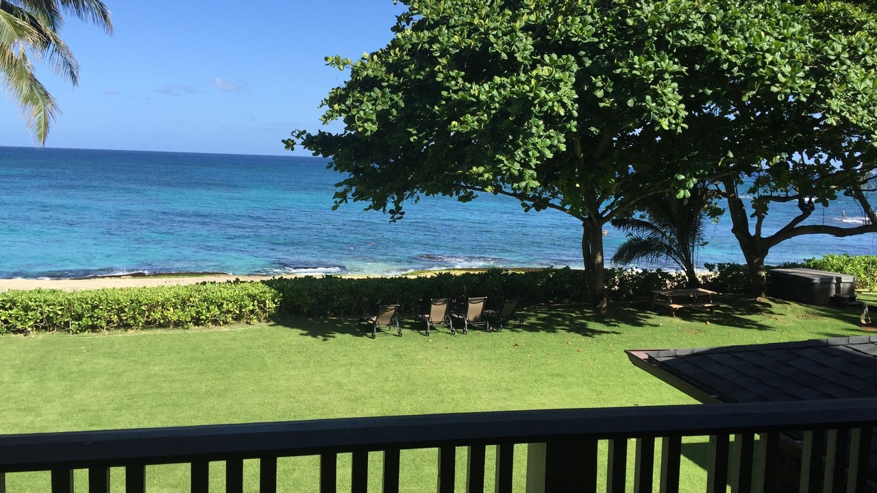 Photo of Others in Haleiwa