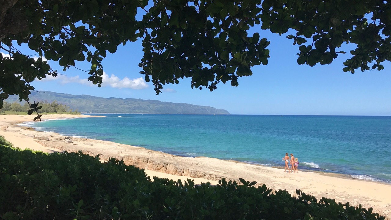 Photo of Others in Haleiwa