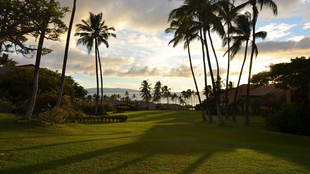 Photo of Others in Wailea