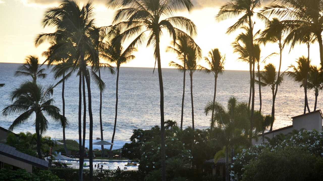 Photo of Outdoor in Wailea
