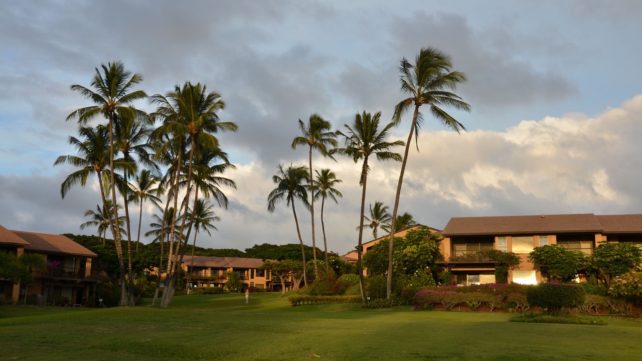 Photo of Others in Wailea