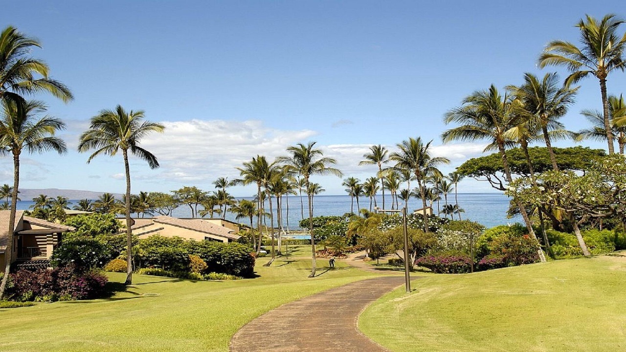 Photo of Outdoor in Wailea