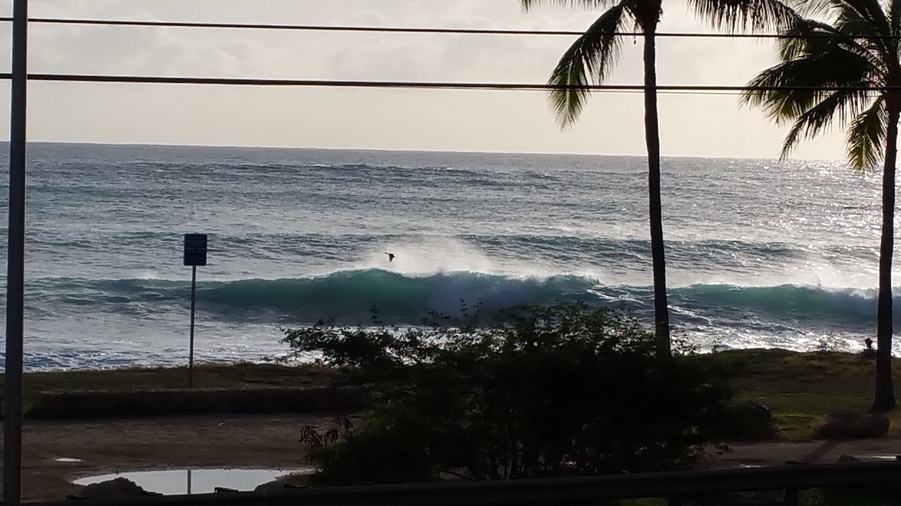 Photo of Others in Nanakuli