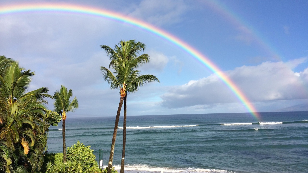 Photo of Others in Honokowai