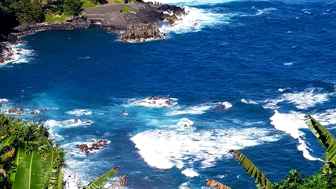 Photo of Others in Laupahoehoe
