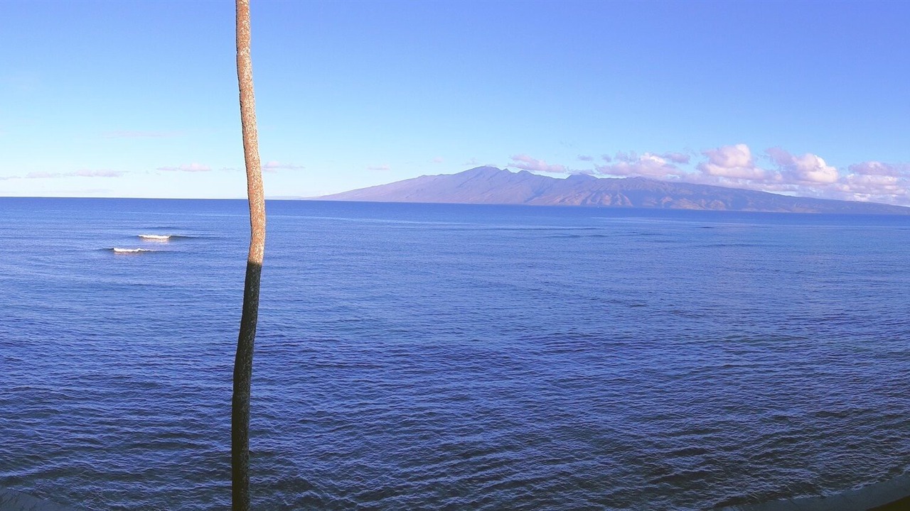 Photo of Others in Kahana