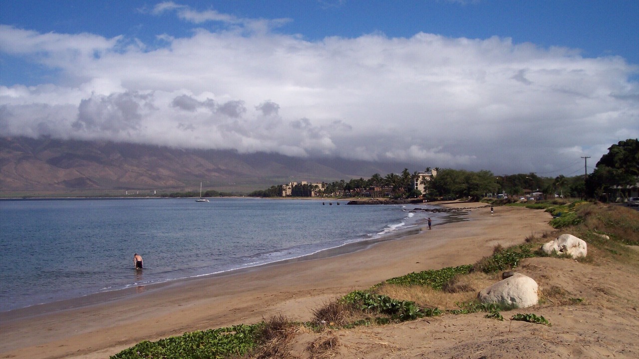 Photo of Others in Kihei