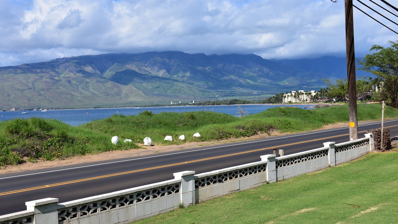 Photo of Others in Kihei