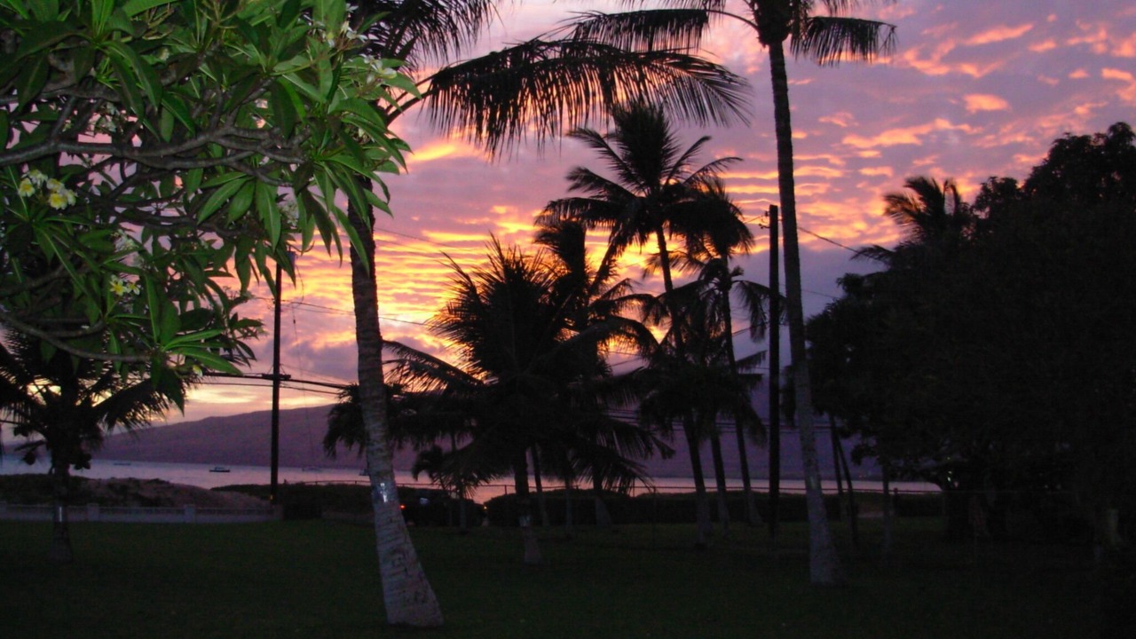 Photo of Others in Kihei
