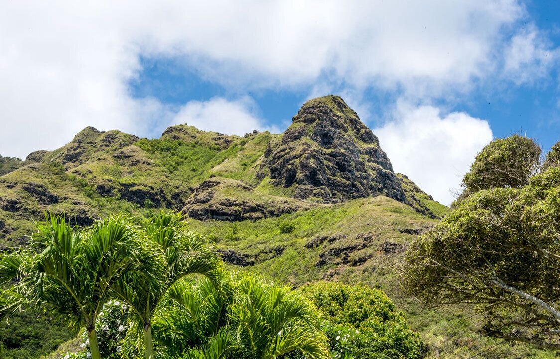 Photo of Outdoor in Ka'a'awa