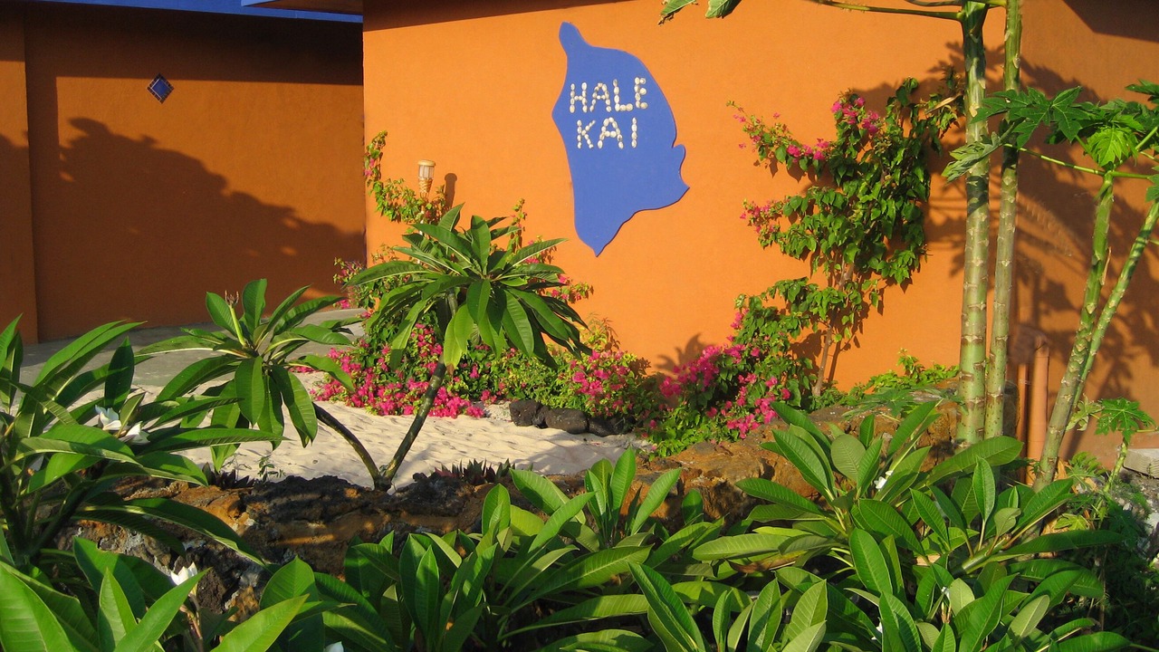 Photo of Others in South Kona