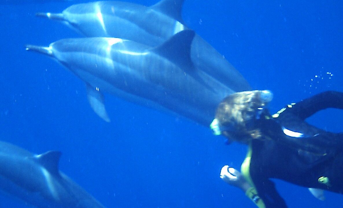 Photo of Others in South Kona