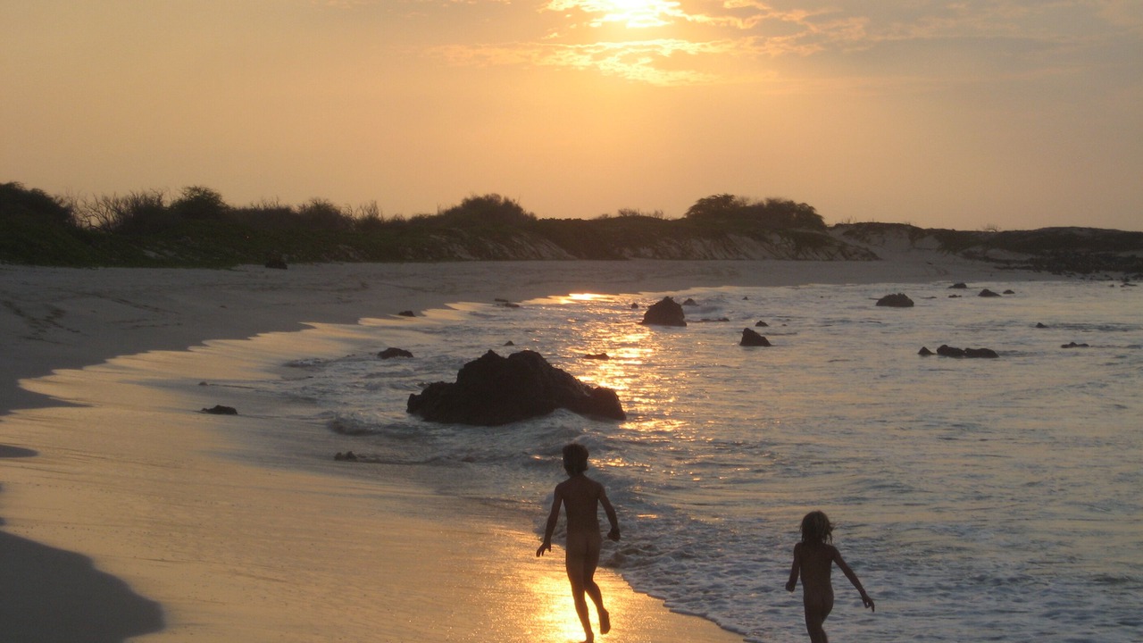 Photo of Others in South Kona