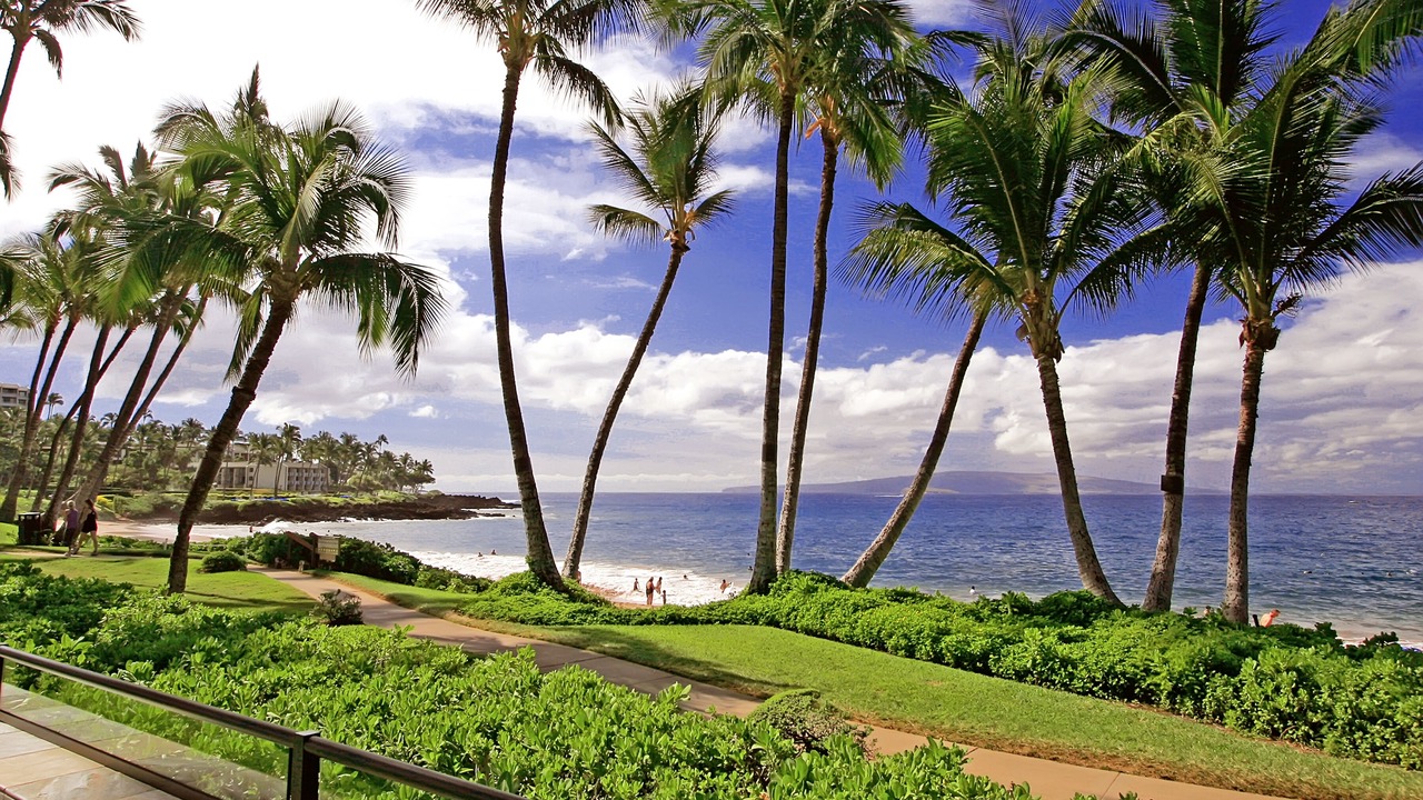 Photo of Others in Wailea