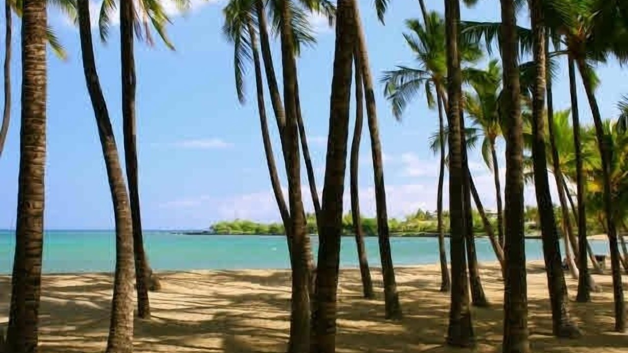 Photo of Others in Waikoloa