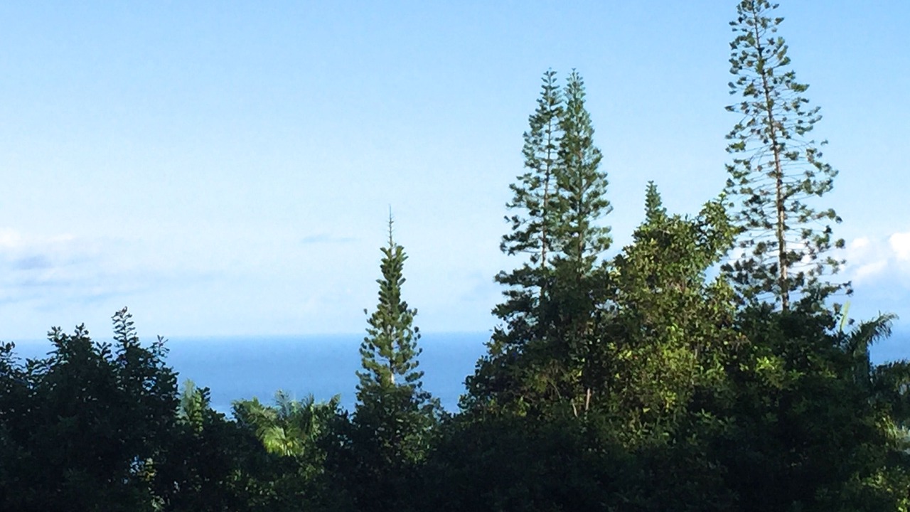 Photo of Others in Honaunau-Napoopoo