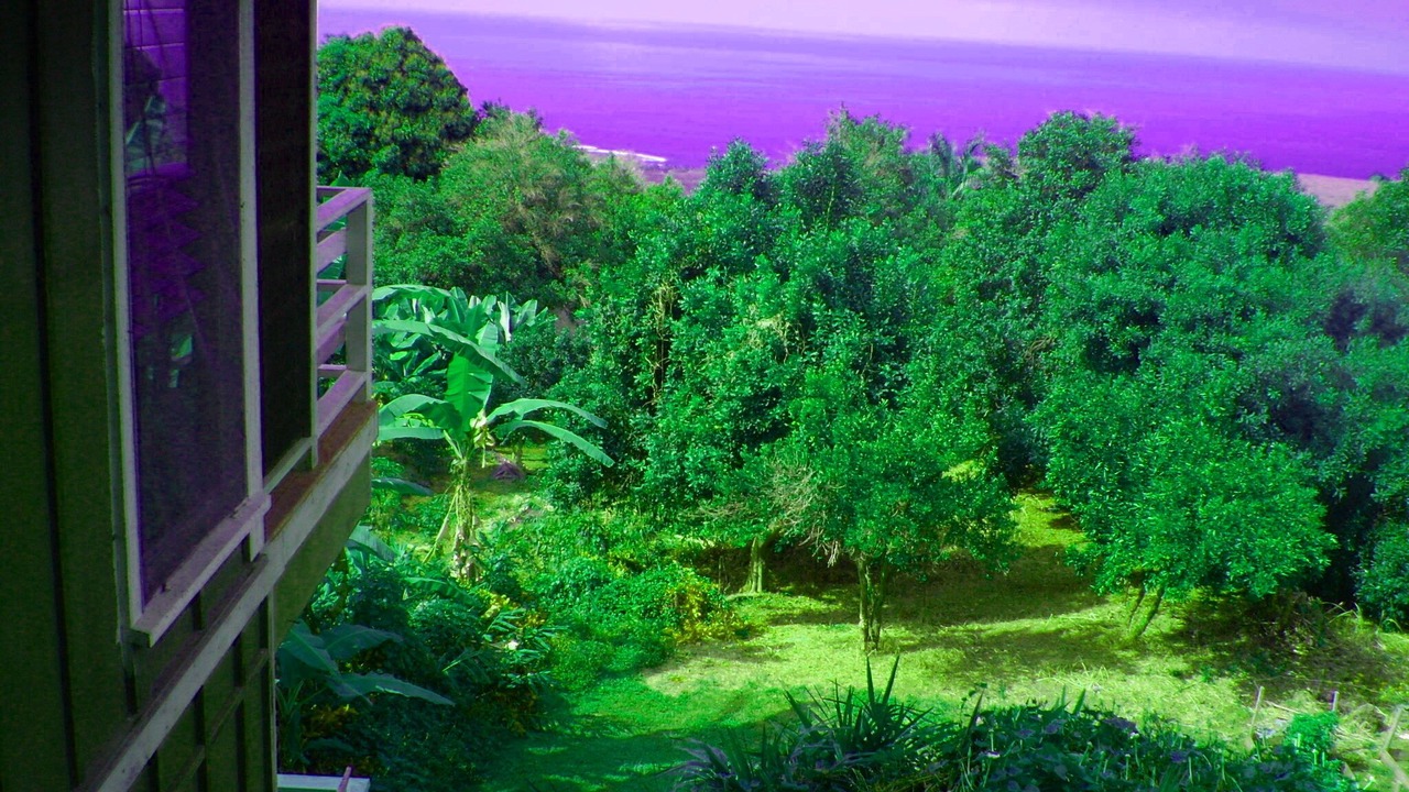 Photo of Others in Honaunau-Napoopoo