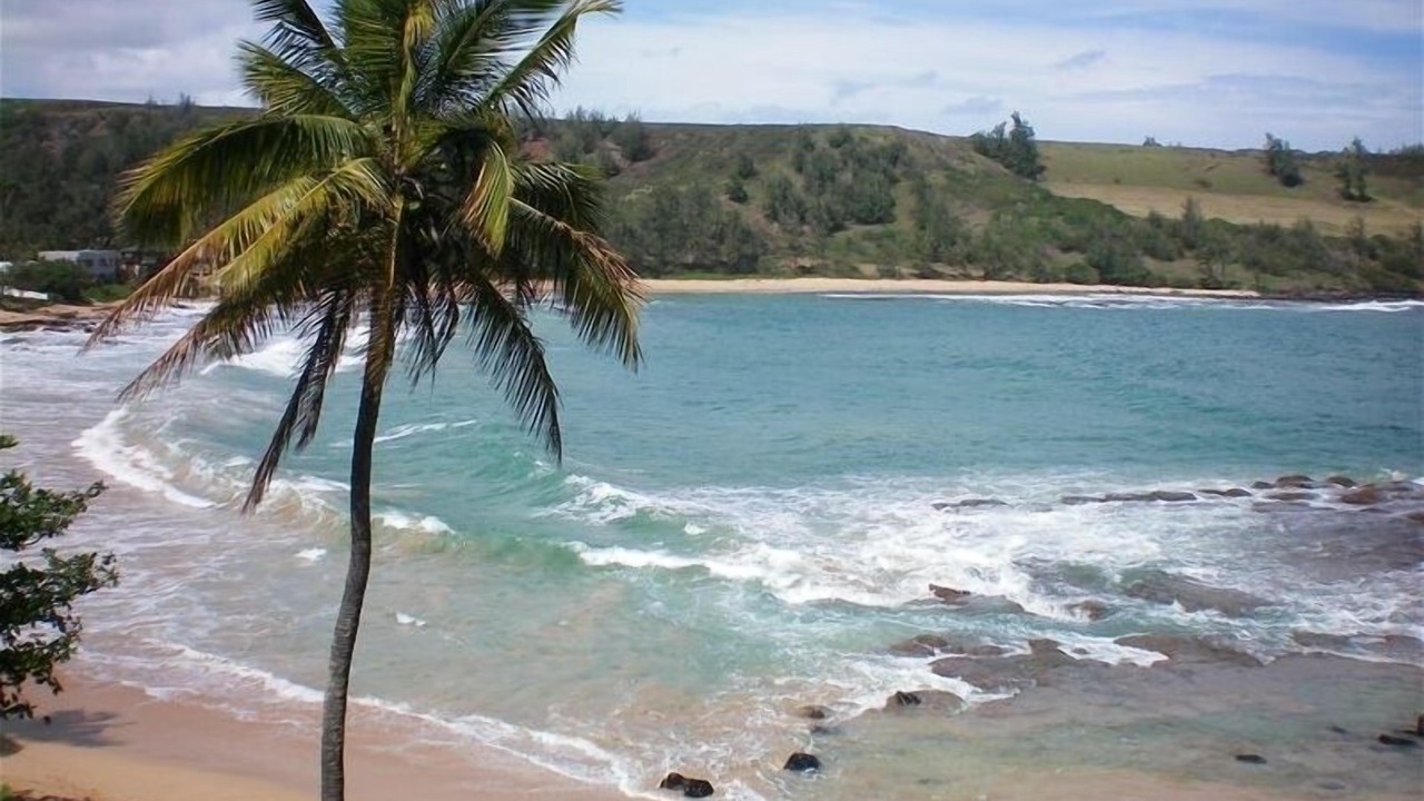 Photo of Others in Kilauea