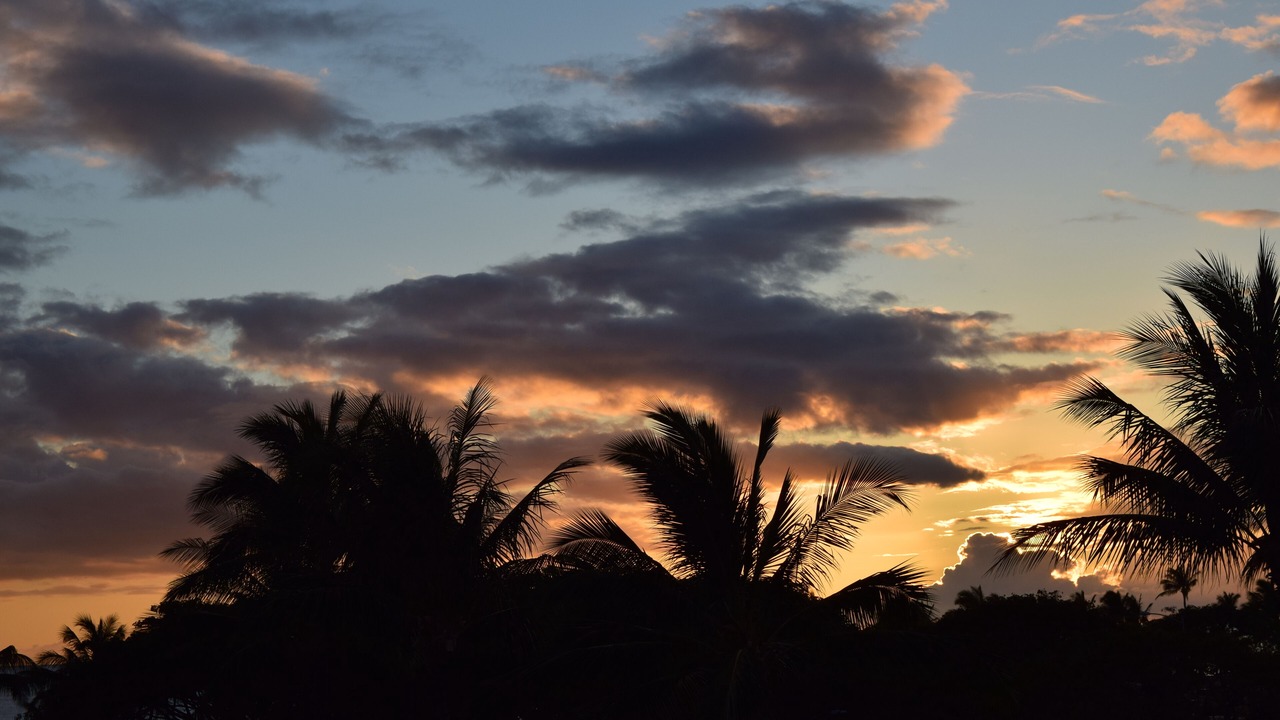 Photo of Others in Ko Olina