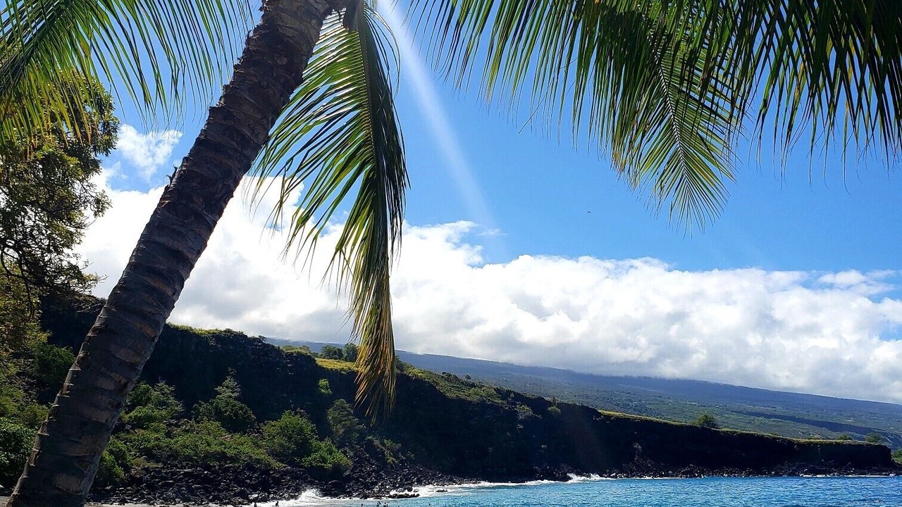 Photo of Others in Kona Paradise
