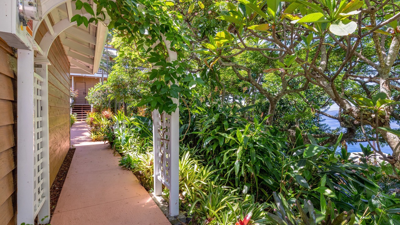 Photo of Outdoor in Kona Paradise