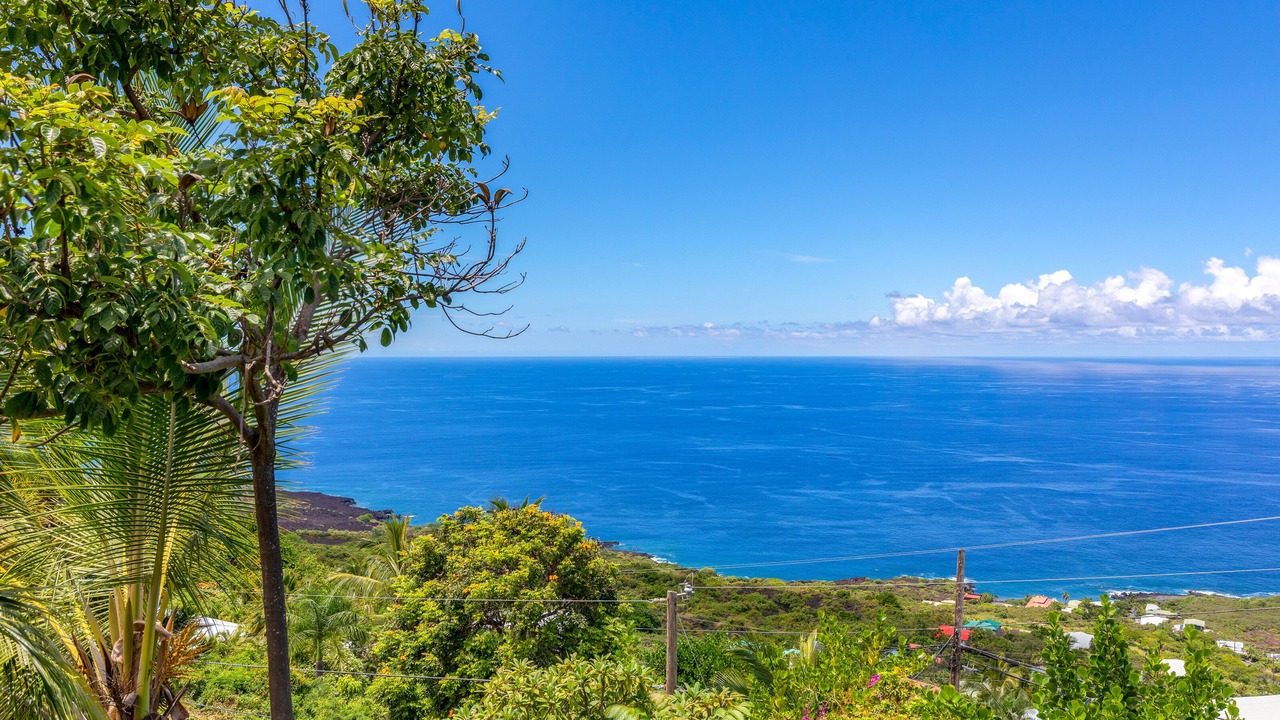 Photo of Others in Kona Paradise