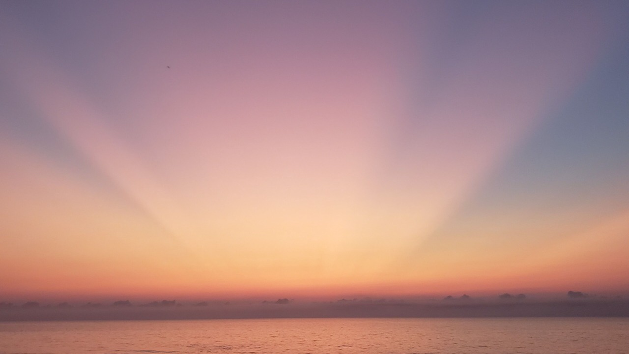 Photo of Others in Surfside Beach