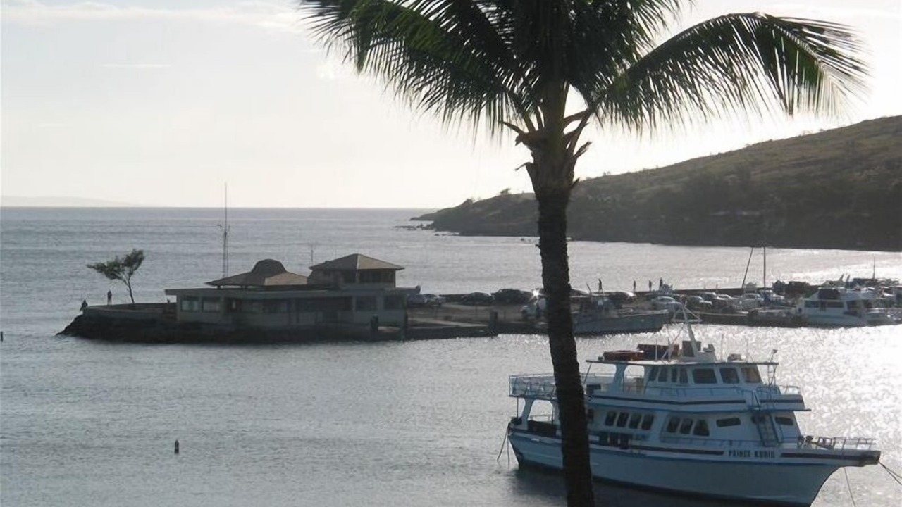 Photo of Others in Maalaea