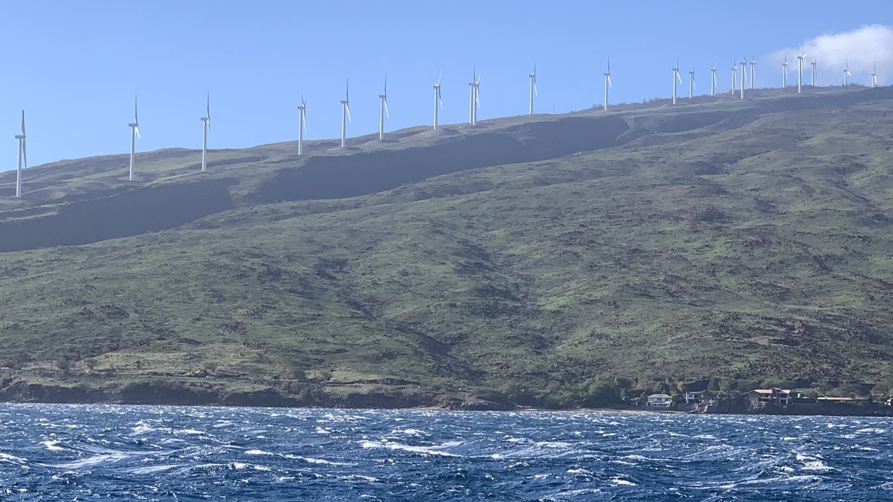 Photo of Others in Maalaea