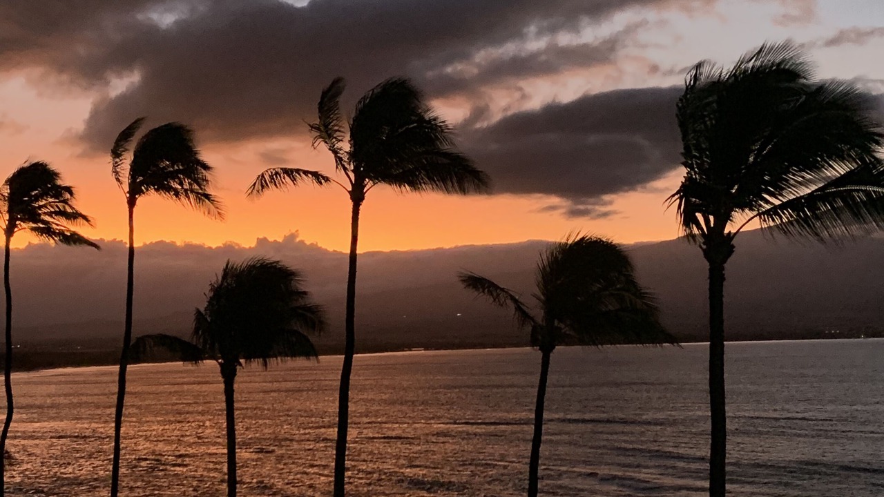 Photo of Others in Maalaea