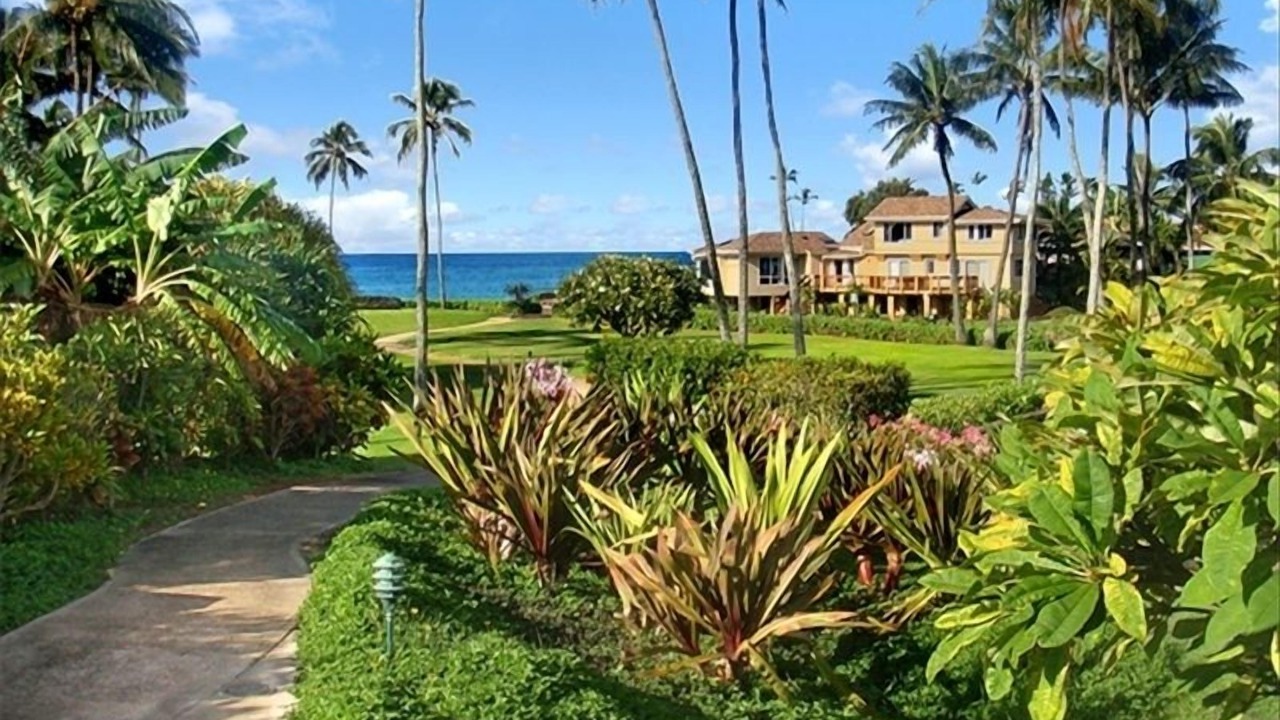 Photo of Outdoor in Poipu