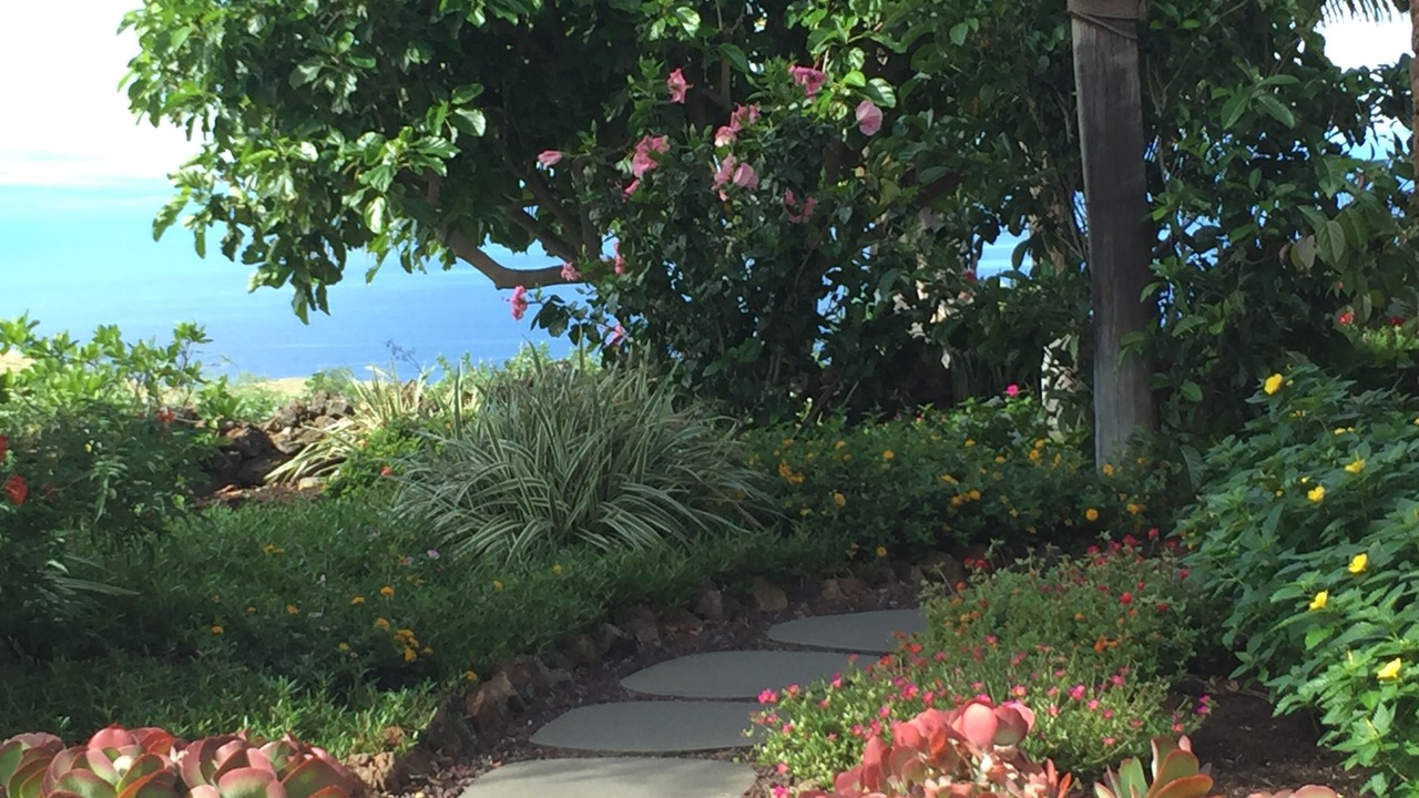 Photo of Others in Kohala Estates