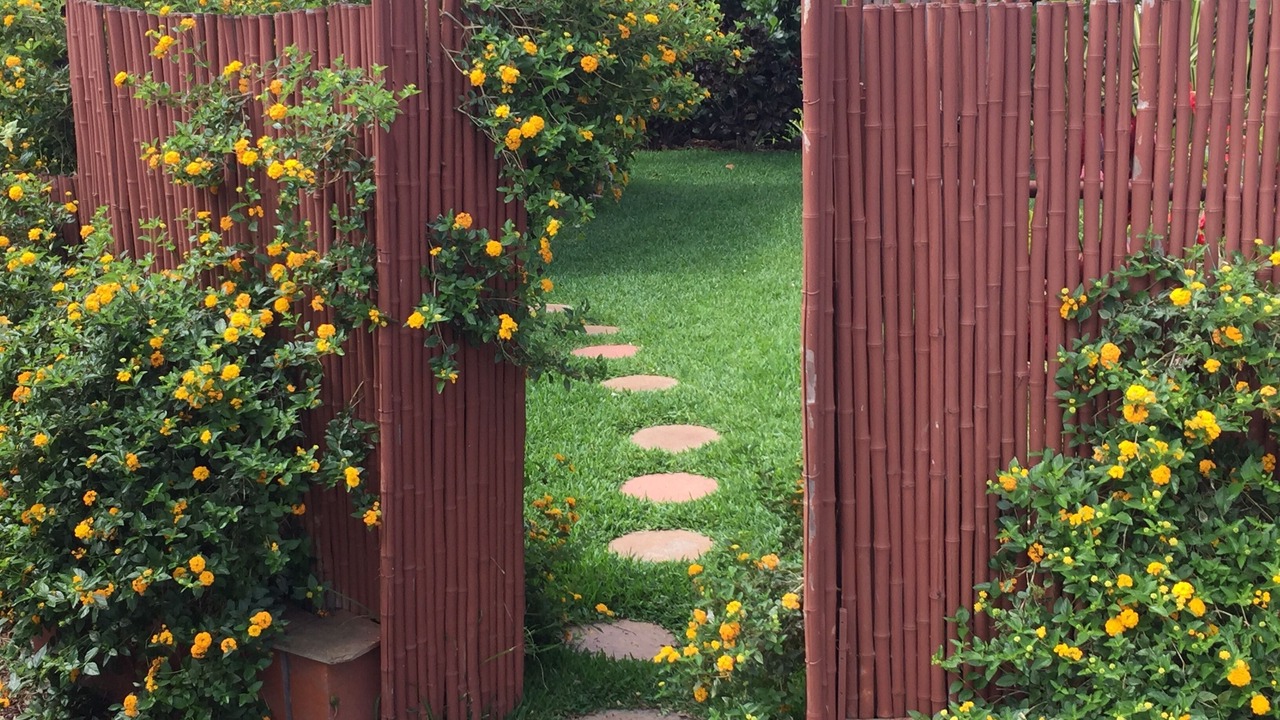 Photo of Others in Kohala Estates