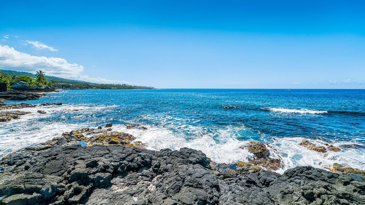 Photo of Others in Kahaluu Bay