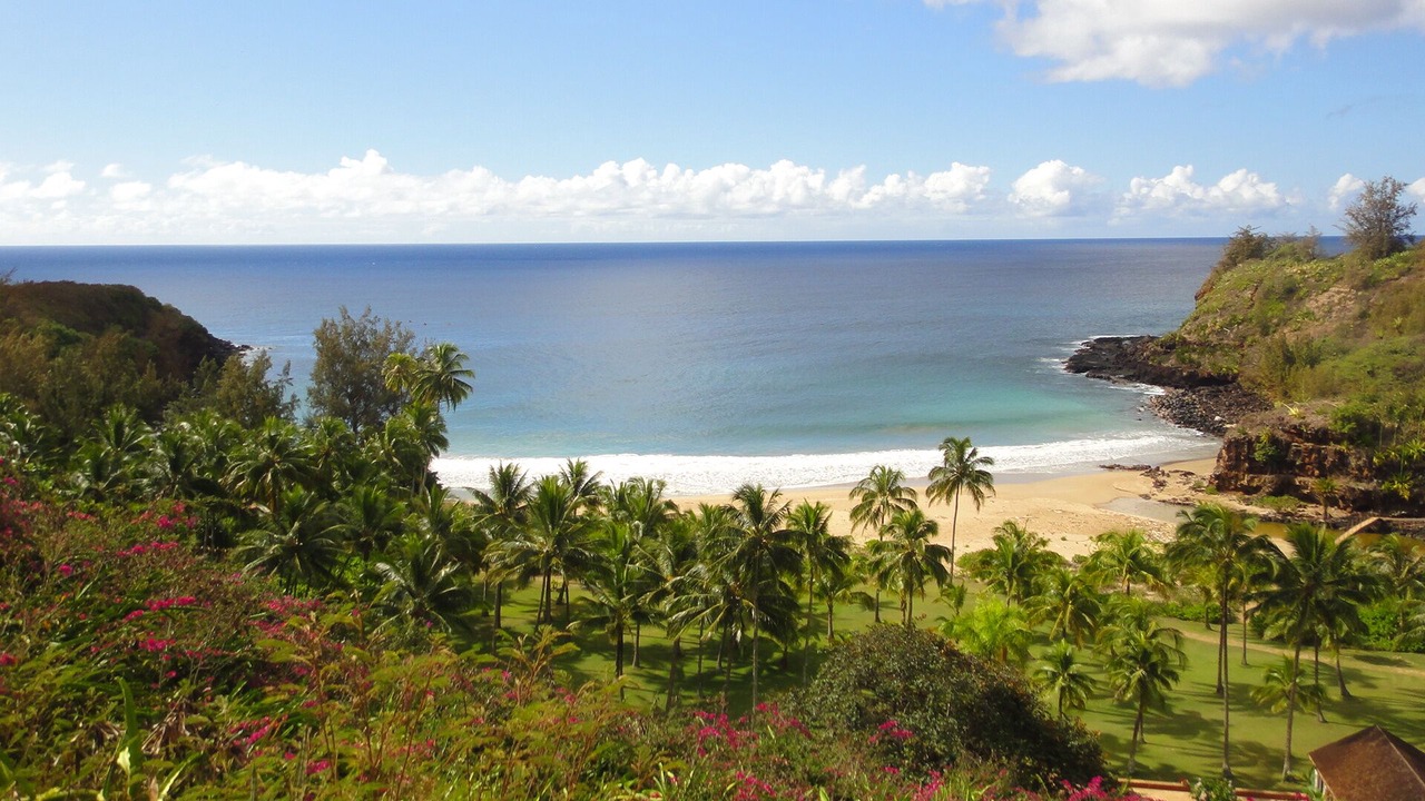 Photo of Others in Poipu