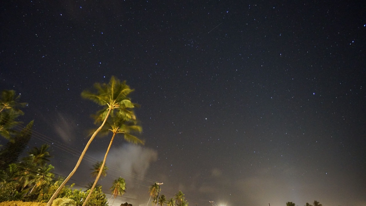 Photo of Others in Poipu